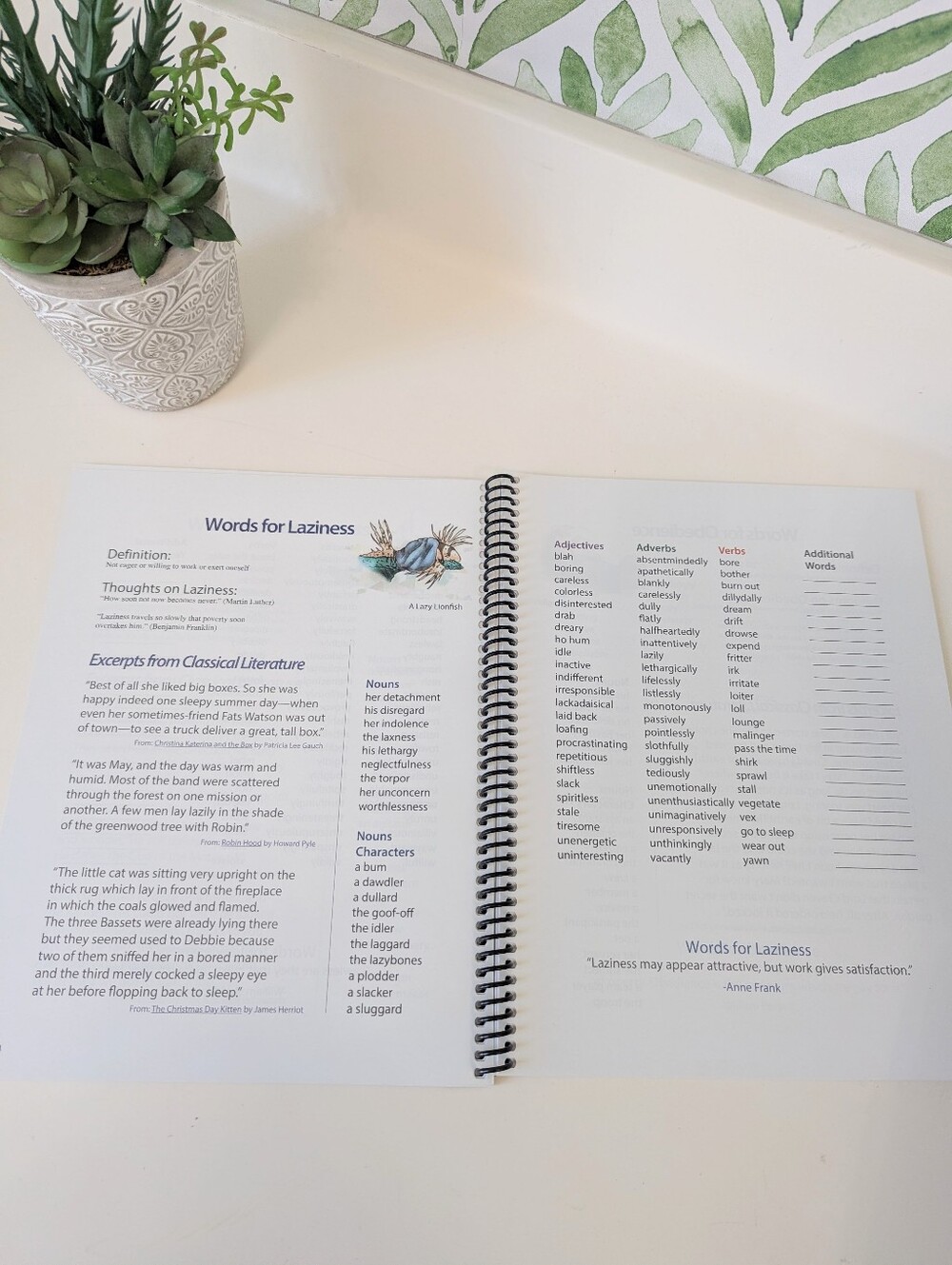 IEW Year 1 Level A Kit Premier Homeschool Writing Curriculum*No Videos Included - Picture 8 of 15